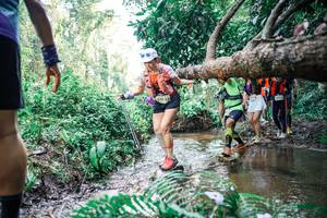 BIB: 
                            <button type="button" onclick="openModal(25476210)" class="btn btn-primary btn-sm float-right btn-popup" data-toggle="modal" data-target=".modal-high-quality">
                        <i class="fas fa-shopping-cart"></i> Add to Cart
                    </button>
                                            <button type="button" onclick="isThisMe(25476210, true)" class="btn btn-success btn-sm float-right btn-popup btn-isme hidden" data-toggle="tooltip" data-placement="bottom" title="นี่คือรูปของคุณใช่ไหม คลิกที่นี่เพื่อเอาเข้าอัลบั้ม">
                        <i class="fas fa-plus"></i> Add to album
                    </button>
                    <button type="button" onclick="isThisMe(25476210, false)" class="btn btn-warning btn-sm float-right btn-popup btn-isnotme hidden">
                        <i class="fas fa-ban"></i> Remove from album
                    </button>